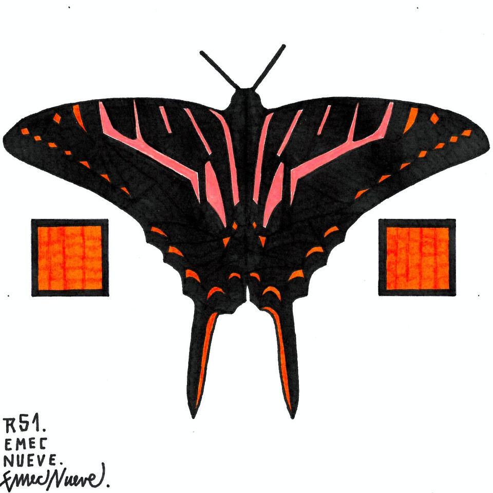 R51 - EMEC NUEVE